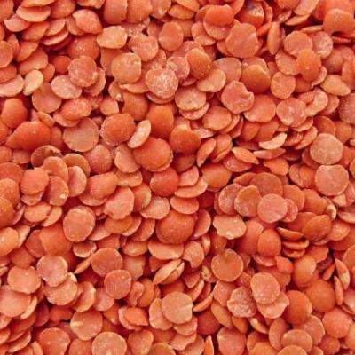 Lentilles corail bio
